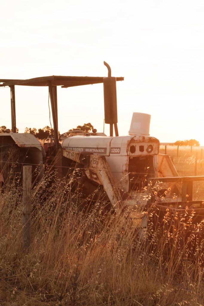 A vintage tractor in a rural field at sunset, surrounded by tall grass.