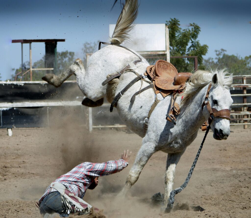 Action-packed rodeo moment with a cowboy falling off a bucking white horse in an outdoor arena.